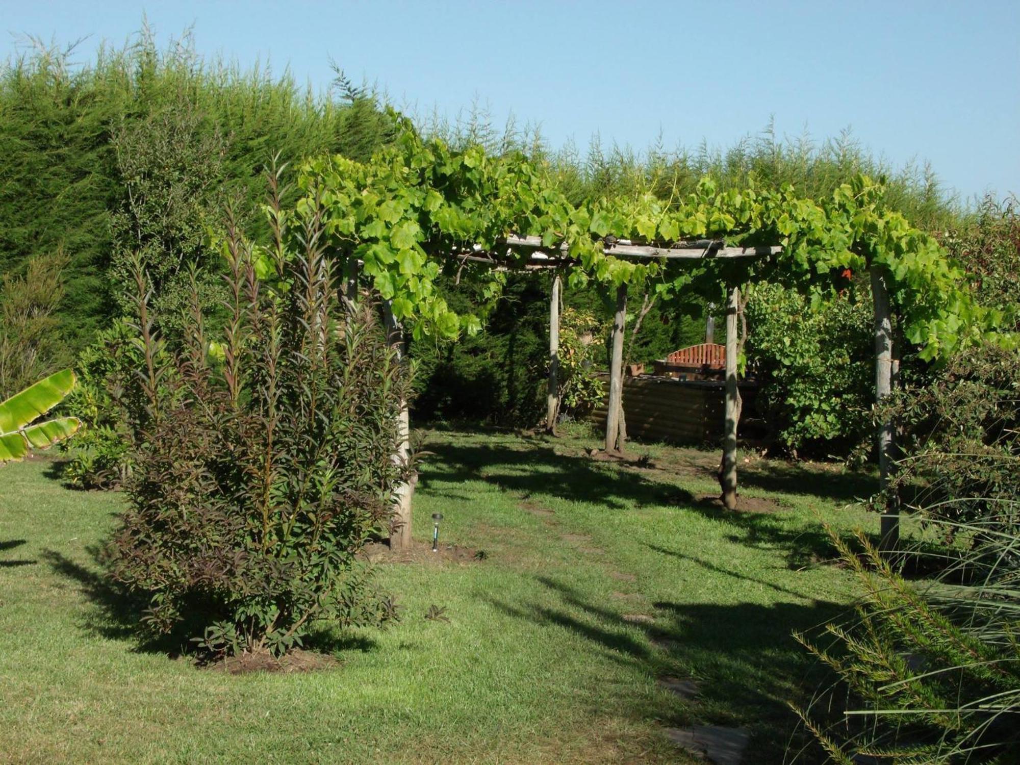 Fundo San Bonifacio Guest House Chanco Cameră foto
