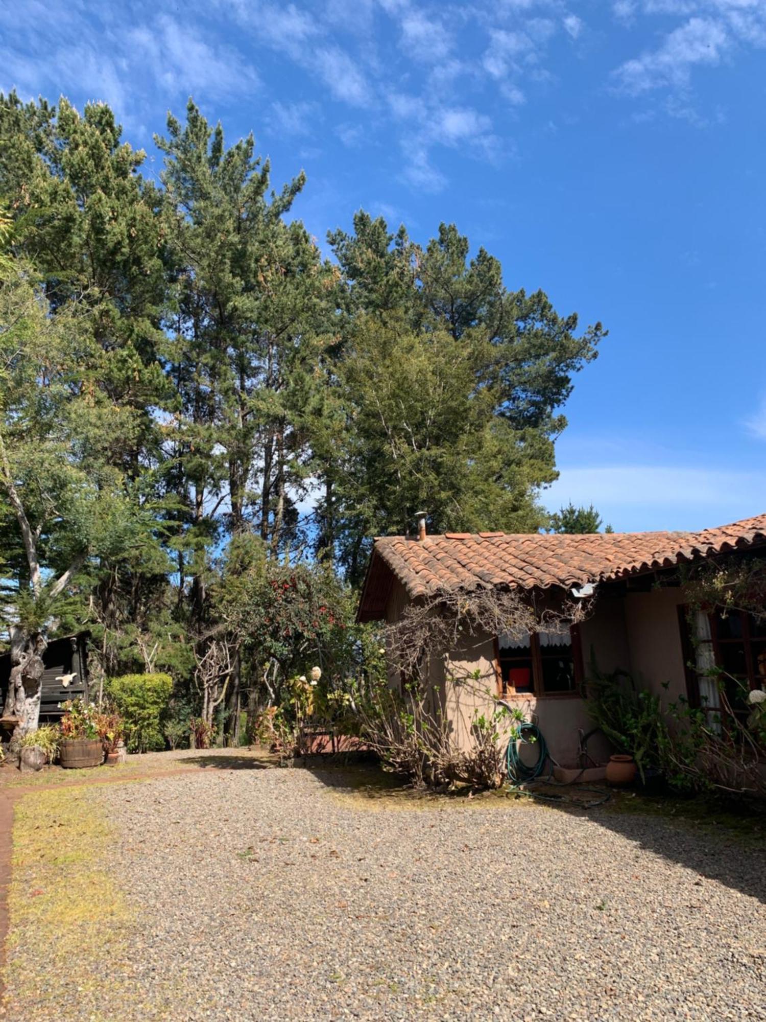 Fundo San Bonifacio Guest House Chanco Exterior foto